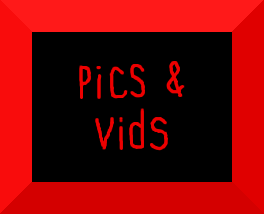 PICS & VIDS